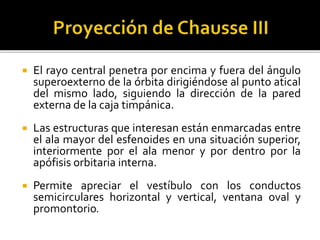  El rayo central penetra por encima y fuera del ángulo
superoexterno de la órbita dirigiéndose al punto atical
del mismo lado, siguiendo la dirección de la pared
externa de la caja timpánica.
 Las estructuras que interesan están enmarcadas entre
el ala mayor del esfenoides en una situación superior,
interiormente por el ala menor y por dentro por la
apófisis orbitaria interna.
 Permite apreciar el vestíbulo con los conductos
semicirculares horizontal y vertical, ventana oval y
promontorio.
 