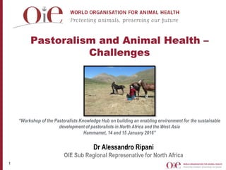 Pastoralism and Animal Health –
Challenges
“Workshop of the Pastoralists Knowledge Hub on building an enabling environment for the sustainable
development of pastoralists in North Africa and the West Asia
Hammamet, 14 and 15 January 2016”
Dr Alessandro Ripani
OIE Sub Regional Represenative for North Africa
1
 