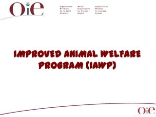 IMPROVED ANIMAL WELFARE
PROGRAM (IAWP)

 