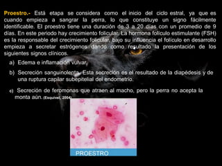 Proestro Unidad 9 aparato reproductor pequeñas especies clinica | PPTX
