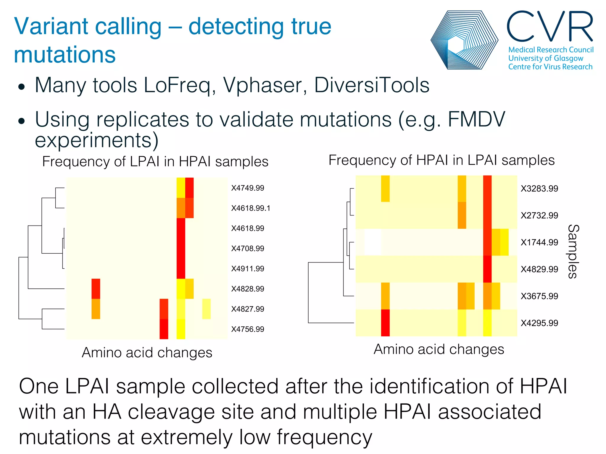 Variant calling – detecting true
mutations"
• Many tools LoFreq, Vphaser, DiversiTools!
• Using replicates to validate mutations (e.g. FMDV
experiments)!
!
One LPAI sample collected after the identification of HPAI
with an HA cleavage site and multiple HPAI associated
mutations at extremely low frequency!
PB2_I398T
PB1_D154G
PB1_G216S
PB1_E745K
PA_T61I
PA_K115N
PA_K252E
HA_A130T
HA_T146A
HA_E228A
HA_T454A
HA_R554K
NP_A349T
NP_N376S
NA_K173R
M1_A166V
NS1_I136V
NS1_N139D
NS1_-225R
X4756.99
X4827.99
X4828.99
X4911.99
X4708.99
X4618.99
X4618.99.1
X4749.99
PB2_I398T
PB1_D154G
PB1_G216S
PB1_E745K
PA_T61I
PA_K115N
PA_K252E
HA_A130T
HA_T146A
HA_E228A
HA_T454A
HA_R554K
NP_A349T
NP_N376S
NA_K173R
M1_A166V
NS1_I136V
NS1_N139D
NS1_-225R
X4295.99
X3675.99
X4829.99
X1744.99
X2732.99
X3283.99
Frequency of LPAI in HPAI samples ! Frequency of HPAI in LPAI samples !
Amino acid changes!
Samples!
Amino acid changes!