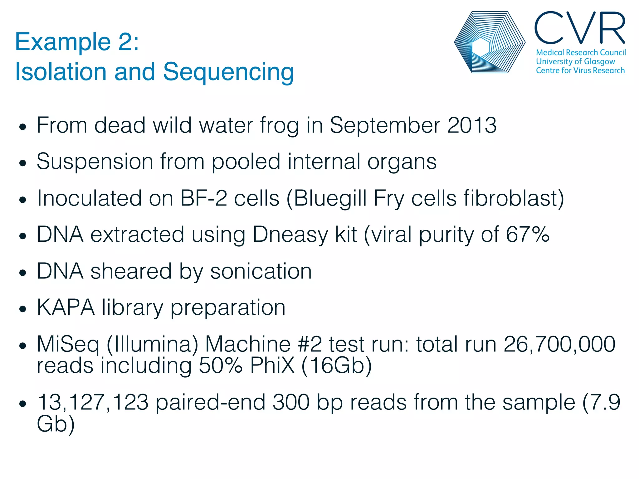 Example 2:
Isolation and Sequencing"
• From dead wild water frog in September 2013!
• Suspension from pooled internal organs!
• Inoculated on BF-2 cells (Bluegill Fry cells fibroblast)!
• DNA extracted using Dneasy kit (viral purity of 67%!
• DNA sheared by sonication!
• KAPA library preparation!
• MiSeq (Illumina) Machine #2 test run: total run 26,700,000
reads including 50% PhiX (16Gb)!
• 13,127,123 paired-end 300 bp reads from the sample (7.9
Gb)!