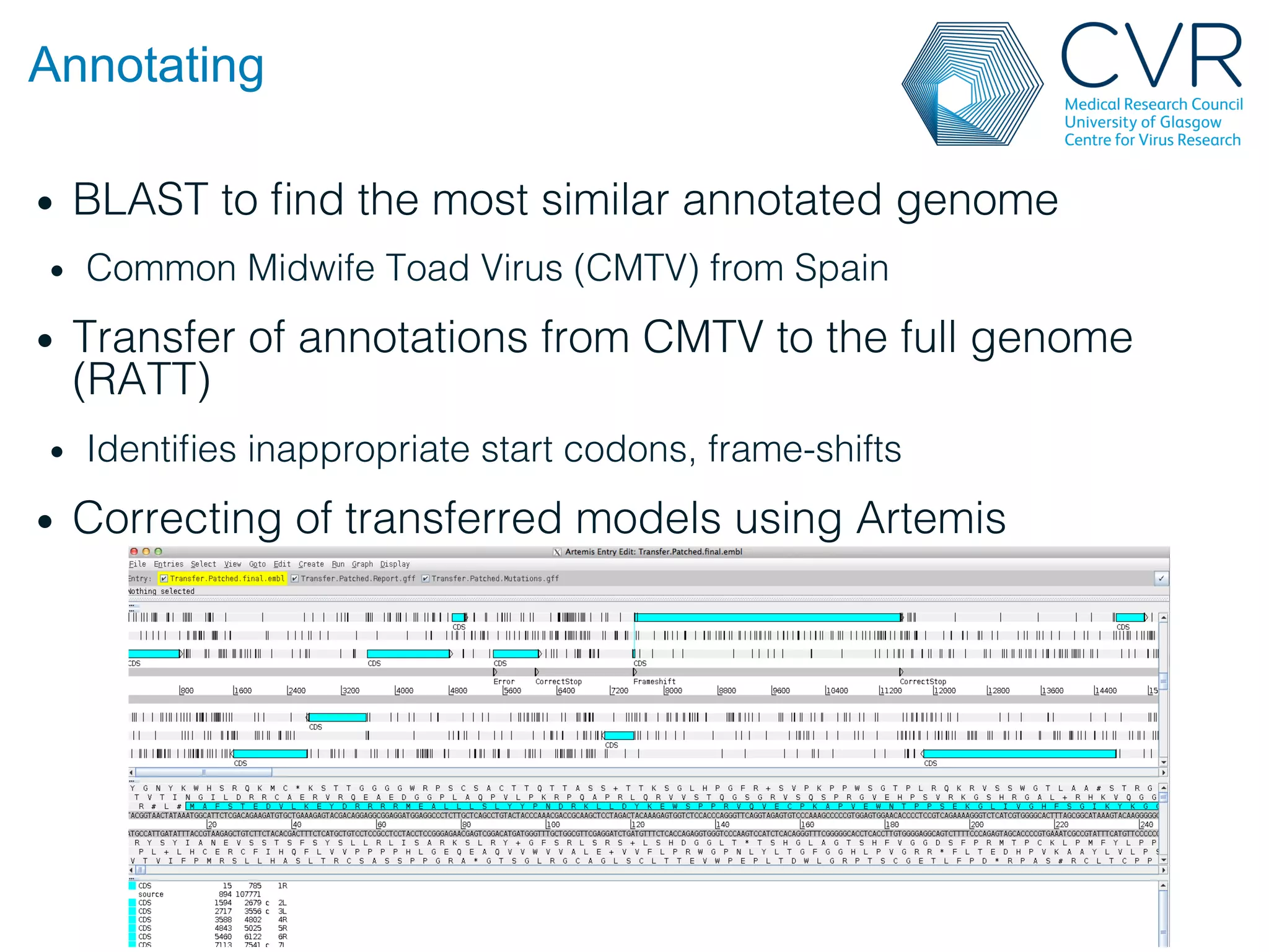 Annotating
• BLAST to find the most similar annotated genome!
• Common Midwife Toad Virus (CMTV) from Spain!
• Transfer of annotations from CMTV to the full genome
(RATT)!
• Identifies inappropriate start codons, frame-shifts!
• Correcting of transferred models using Artemis!