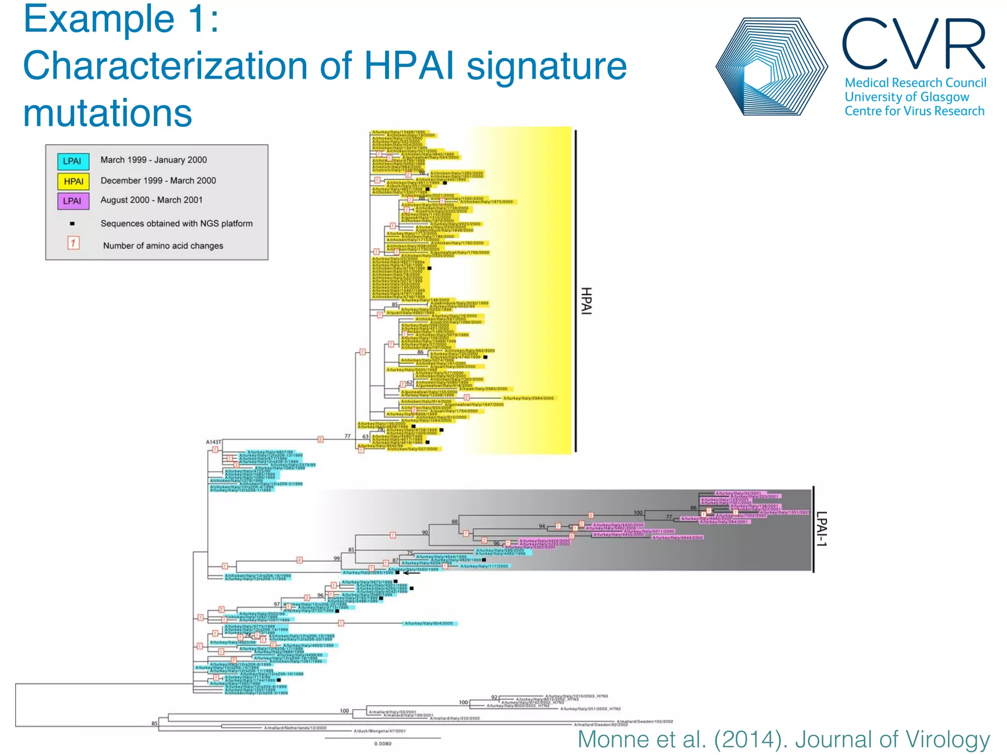 Example 1:
Characterization of HPAI signature
mutations"
Monne et al. (2014). Journal of Virology!