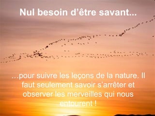 … pour suivre les leçons de la nature. Il faut seulement savoir s’arrêter et observer les merveilles qui nous entourent ! Nul besoin d’être savant... 