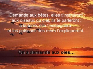 “ Demande aux bêtes, elles t’instruiront ; aux oiseaux du ciel, ils te parleront ; à la terre, elle t’enseignera ; et les poissons des mers t’expliqueront.  On a demandé aux oies… 