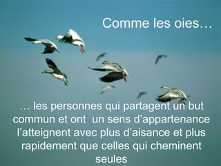 …  les personnes qui partagent un but commun et ont  un sens d’appartenance l’atteignent avec plus d’aisance et plus rapidement que celles qui cheminent seules Comme les oies… 