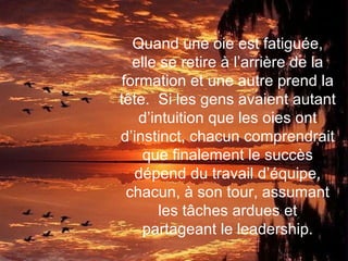 Quand une oie est fatiguée, elle se retire à l’arrière de la formation et une autre prend la tête.  Si les gens avaient autant d’intuition que les oies ont d’instinct, chacun comprendrait que finalement le succès dépend du travail d’équipe, chacun, à son tour, assumant les tâches ardues et partageant le leadership. 