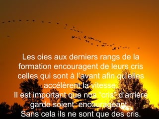 Les oies aux derniers rangs de la formation encouragent de leurs cris celles qui sont à l’avant afin qu’elles accélèrent la vitesse. Il est important que nos “cris” d’arrière garde soient  encourageant.  Sans cela ils ne sont que des cris. 