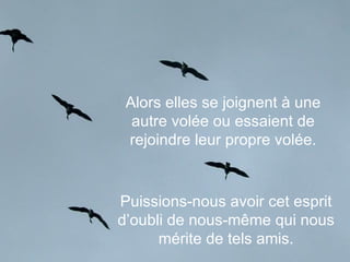 Alors elles se joignent à une autre volée ou essaient de rejoindre leur propre volée. Puissions-nous avoir cet esprit d’oubli de nous-même qui nous mérite de tels amis. 