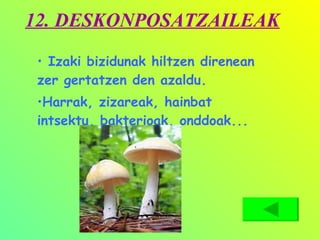 12. DESKONPOSATZAILEAK Izaki bizidunak hiltzen direnean zer gertatzen den azaldu. Harrak, zizareak, hainbat intsektu, bakterioak, onddoak... 