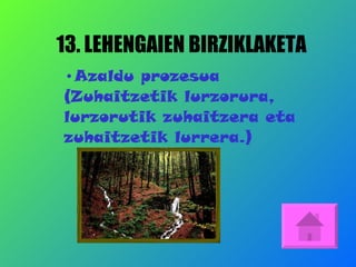 13. LEHENGAIEN BIRZIKLAKETA Azaldu prozesua (Zuhaitzetik lurzorura, lurzorutik zuhaitzera eta zuhaitzetik lurrera.) 