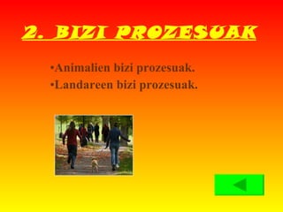2. BIZI PROZESUAK Animalien bizi prozesuak. Landareen bizi prozesuak. 
