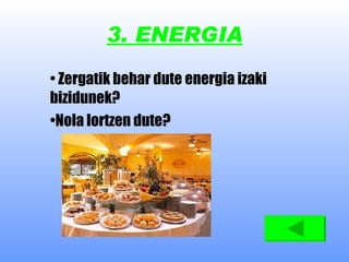 3. ENERGIA Zergatik behar dute energia izaki bizidunek? Nola lortzen dute? 