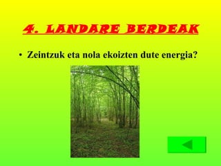 4. LANDARE BERDEAK Zeintzuk eta nola ekoizten dute energia? 