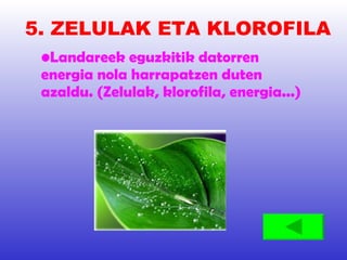 5. ZELULAK ETA KLOROFILA Landareek eguzkitik datorren energia nola harrapatzen duten azaldu. (Zelulak, klorofila, energia...) 