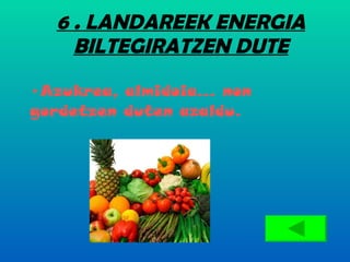6 . LANDAREEK ENERGIA BILTEGIRATZEN DUTE Azukrea, almidoia... non gordetzen duten azaldu. 
