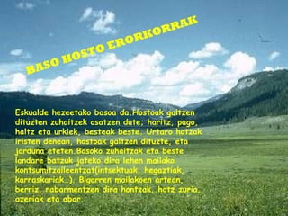 BASO HOSTO ERORKORRAK Eskualde hezeetako basoa da.Hostoak galtzen dituzten zuhaitzek osatzen dute; haritz, pago, haltz eta urkiek, besteak beste. Urtaro hotzak iristen denean, hostoak galtzen dituzte, eta jarduna eteten.Basoko zuhaitzak eta beste landare batzuk jateko dira lehen mailako kontsumitzaileentzat(intsektuak, hegaztiak, karraskariak…). Bigarren mailakoen artean, berriz, nabarmentzen dira hontzak, hotz zuria, azeriak eta abar. 