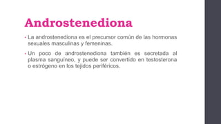 Androstenediona
• La androstenediona es el precursor común de las hormonas
sexuales masculinas y femeninas.
• Un poco de androstenediona también es secretada al
plasma sanguíneo, y puede ser convertido en testosterona
o estrógeno en los tejidos periféricos.
 