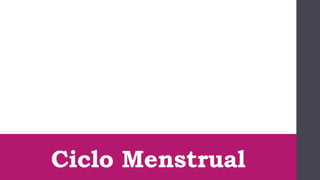 Ciclo Menstrual
 