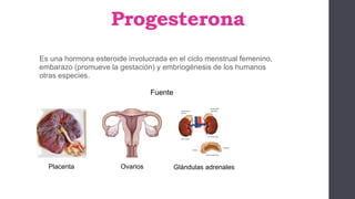 Progesterona
Es una hormona esteroide involucrada en el ciclo menstrual femenino,
embarazo (promueve la gestación) y embriogénesis de los humanos
otras especies.
Fuente
Placenta Ovarios Glándulas adrenales
 
