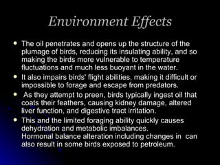 Environment Effects The oil penetrates and opens up the structure of the plumage of birds, reducing its insulating ability, and so making the birds more vulnerable to temperature fluctuations and much less buoyant in the water.  It also impairs birds' flight abilities, making it difficult or impossible to forage and escape from predators. As they attempt to preen, birds typically ingest oil that coats their feathers, causing kidney damage, altered liver function, and digestive tract irritation.  This and the limited foraging ability quickly causes dehydration and metabolic imbalances.  Hormonal balance alteration including changes in  can also result in some birds exposed to petroleum.  