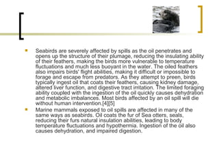 Seabirds are severely affected by spills as the oil penetrates and opens up the structure of their plumage, reducing the insulating ability of their feathers, making the birds more vulnerable to temperature fluctuations and much less buoyant in the water. The oiled feathers also impairs birds' flight abilities, making it difficult or impossible to forage and escape from predators. As they attempt to preen, birds typically ingest oil that coats their feathers, causing kidney damage, altered liver function, and digestive tract irritation. The limited foraging ability coupled with the ingestion of the oil quickly causes dehydration and metabolic imbalances. Most birds affected by an oil spill will die without human intervention.[4][5] Marine mammals exposed to oil spills are affected in many of the same ways as seabirds. Oil coats the fur of Sea otters, seals, reducing their furs natural insulation abilities, leading to body temperature fluctuations and hypothermia. Ingestion of the oil also causes dehydration, and impaired digestion. 