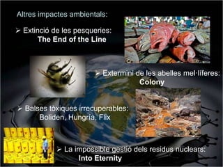 Altres impactes ambientals:

 Extinció de les pesqueries:
      The End of the Line



                        Extermini de les abelles mel·líferes:
                                    Colony


 Balses tòxiques irrecuperables:
      Boliden, Hungría, Flix



             La impossible gestió dels residus nuclears:
                  Into Eternity
 