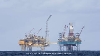 Petroleum reservoir visual data 3