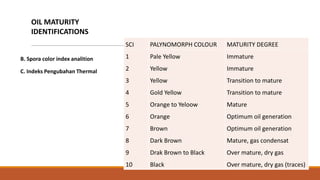 OIL MATURITY
    IDENTIFICATIONS
                                 SCI   PALYNOMORPH COLOUR    MATURITY DEGREE

B. Spora color index analition   1     Pale Yellow           Immature

C. Indeks Pengubahan Thermal     2     Yellow                Immature
                                 3     Yellow                Transition to mature
                                 4     Gold Yellow           Transition to mature
                                 5     Orange to Yeloow      Mature
                                 6     Orange                Optimum oil generation
                                 7     Brown                 Optimum oil generation
                                 8     Dark Brown            Mature, gas condensat
                                 9     Drak Brown to Black   Over mature, dry gas
                                 10    Black                 Over mature, dry gas (traces)
 
