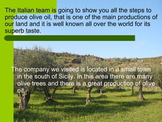 [object Object],The Italian team is going to show you all the steps to produce olive oil, that is one of the main productions of our land and it is well known all over the world for its superb taste. 