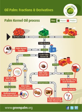 Oil Palm: Fractions & Derivatives
Palm Kernel Oil process
Oil Palm Fruit
Palm Kernel
Oil Palm Mill Crude Palm Oil
Crushing...