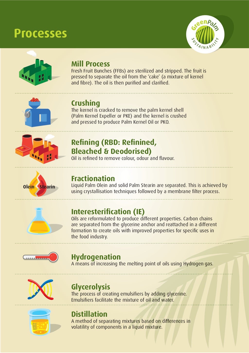Palm Oil, Palm Kernel Oil Process Fractions, Derivatives and Produc…
