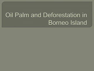 Oil Palm and Deforestation in Borneo Island 