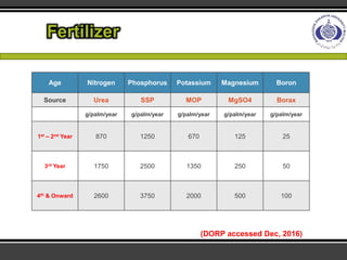 Economic importance and Production technology of Oil Palm | PDF
