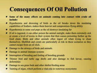 Consequences Of Oil Pollution 
Some of the many effects on animals coming into contact with crude oil 
include: 
Hypothermia and drowning of birds as the oil breaks down the insulating 
capabilities of feathers, makes them heavier and compromises flying ability 
Hypothermia in some seal pups as the oil destroys insulating fur 
If oil is ingested, it can either poison the animal outright, make them extremely sick 
or create a level of toxins in their system that then causes poisoning further up the 
food chain. Birds and other animals often ingest oil when trying to clean 
themselves. Shellfish and corals are particularly at risk in these scenarios as they 
cannot escape from an oil slick. 
Damage to the airways of birds and animals. 
Damage to animal immune systems 
Interruption of breeding and fouling of breeding grounds 
Thinner bird and turtle egg shells and also damage to fish larvae, causing 
deformities 
Damage to sea grass beds and other shelter/feeding areas 
Tainting of algae, which perform a vOiitl aPlolrluotiloen in waterway ecosystems 28 
 