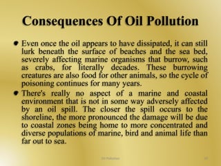 Consequences Of Oil Pollution 
Even once the oil appears to have dissipated, it can still 
lurk beneath the surface of beaches and the sea bed, 
severely affecting marine organisms that burrow, such 
as crabs, for literally decades. These burrowing 
creatures are also food for other animals, so the cycle of 
poisoning continues for many years. 
There's really no aspect of a marine and coastal 
environment that is not in some way adversely affected 
by an oil spill. The closer the spill occurs to the 
shoreline, the more pronounced the damage will be due 
to coastal zones being home to more concentrated and 
diverse populations of marine, bird and animal life than 
far out to sea. 
Oil Pollution 29 
 