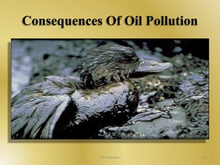 Consequences Of Oil Pollution 
Oil Pollution 30 
 