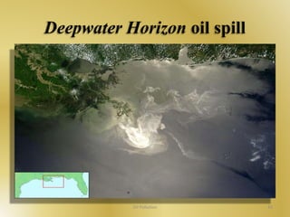 Deepwater Horizon oil spill 
Oil Pollution 43 
 
