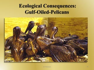 Ecological Consequences: 
Gulf-Oiled-Pelicans 
Oil Pollution 45 
 
