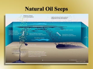 Natural Oil Seeps 
Oil Pollution 7 
 