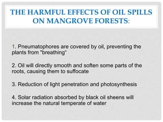 THE HARMFUL EFFECTS OF OIL SPILLS
ON MANGROVE FORESTS:
1. Pneumatophores are covered by oil, preventing the
plants from "breathing“
2. Oil will directly smooth and soften some parts of the
roots, causing them to suffocate
3. Reduction of light penetration and photosynthesis
4. Solar radiation absorbed by black oil sheens will
increase the natural temperate of water
 