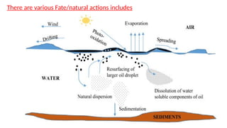 There are various Fate/natural actions includes
 