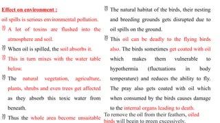 Effect on environment :
oil spills is serious environmental pollution.
 A lot of toxins are flushed into the
atmosphere and soil.
 When oil is spilled, the soil absorbs it.
 This in turn mixes with the water table
below.
 The natural vegetation, agriculture,
plants, shrubs and even trees get affected
as they absorb this toxic water from
beneath.
 Thus the whole area become unsuitable
 The natural habitat of the birds, their nesting
and breeding grounds gets disrupted due to
oil spills on the ground.
 This oil can be deadly to the flying birds
also. The birds sometimes get coated with oil
which makes them vulnerable to
hypothermia (fluctuations in body
temperature) and reduces the ability to fly.
The pray also gets coated with oil which
when consumed by the birds causes damage
to the internal organs leading to death.
To remove the oil from their feathers, oiled
birds will begin to preen excessively,
 