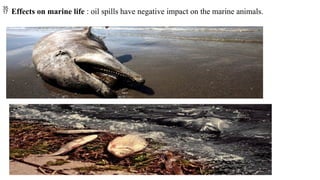  Effects on marine life : oil spills have negative impact on the marine animals.
 
