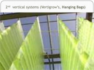 2nd vertical systems (Vertigrow’s, Hanging Bags)

 