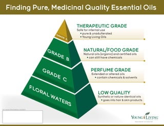 Finding Pure, Medicinal Quality Essential Oils
THERAPEUTIC GRADE
GR
GR
GR
FL
OR
AL
AD
AD
AD
E
A
Safe for internal use
• pure & unadulterated
• Young Living Oils
NATURAL/FOOD GRADE
E
B
Natural oils (organic) and certified oils
• can still have chemicals
PERFUME GRADE
E
WA
C
Extended or altered oils
• contain chemicals & solvents
LOW QUALITY
TE
RS
Synthetic or nature-identical oils
• goes into hair & skin products
for more information contact:
INDEPENDENT DISTRIBUTOR