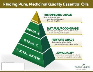 Finding Pure, Medicinal Quality Essential Oils 
THERAPEUTIC GRADE 
Safe for internal use 
• pure & unadulterated 
• Young Living Oils 
NATURAL/FOOD GRADE 
Natural oils (organic) and certified oils 
• can still have chemicals 
PERFUME GRADE 
Extended or altered oils 
• contain chemicals & solvents 
LOW QUALITY 
Synthetic or nature-identical oils 
• goes into hair & skin products 
I N D E P E N D E N T D I S T R I B U TOR 
for more information contact: 
GRADE A 
GRADE B 
GRADE C 
FLORAL WATERS 
