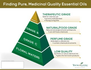 THERAPEUTIC GRADE
Safe for internal use
• pure & unadulterated
• Young Living Oils
NATURAL/FOOD GRADE
Natural oils (organic) and certified oils
• can still have chemicals
PERFUME GRADE
Extended or altered oils
• contain chemicals & solvents
LOW QUALITY
Synthetic or nature-identical oils
• goes into hair & skin products
Finding Pure, Medicinal Quality Essential Oils
I N D E P E N D E N T D I S T R I B U T O R
for more information contact:
GRADE
B
GRADE
C
FLORAL WATERS
GRADE
A
 