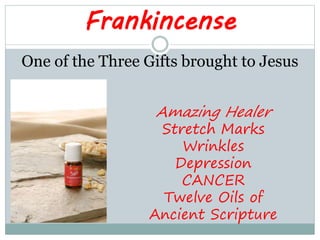 Frankincense
One of the Three Gifts brought to Jesus
Amazing Healer
Stretch Marks
Wrinkles
Depression
CANCER
Twelve Oils o...